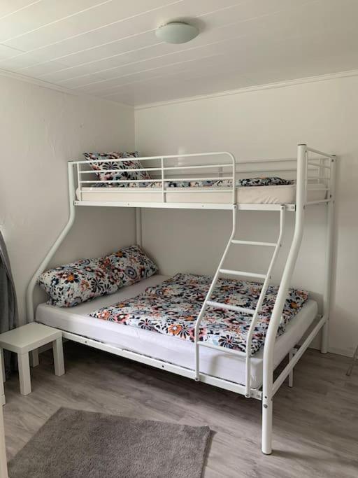 Ferienwohnung Bergblick Winterberg Zewnętrze zdjęcie